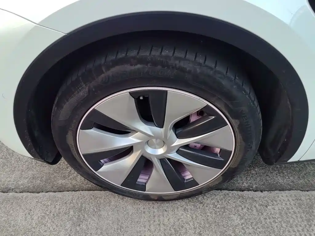 Tesla Model Y — миниатюра 23