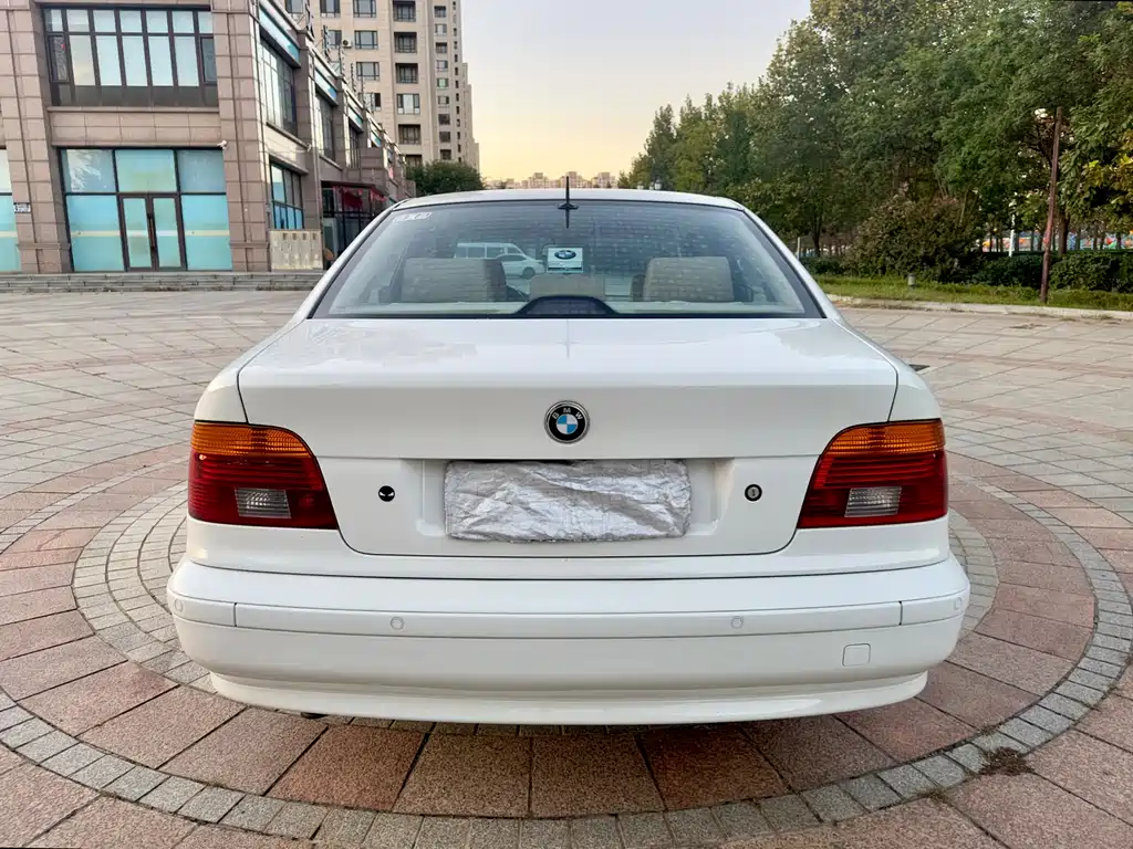 BMW 5 Series 5 2001 520i