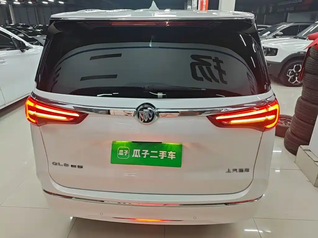 Buick GL8 — миниатюра 6