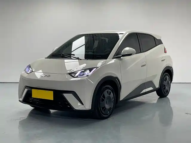 2025 BYD Seagull
