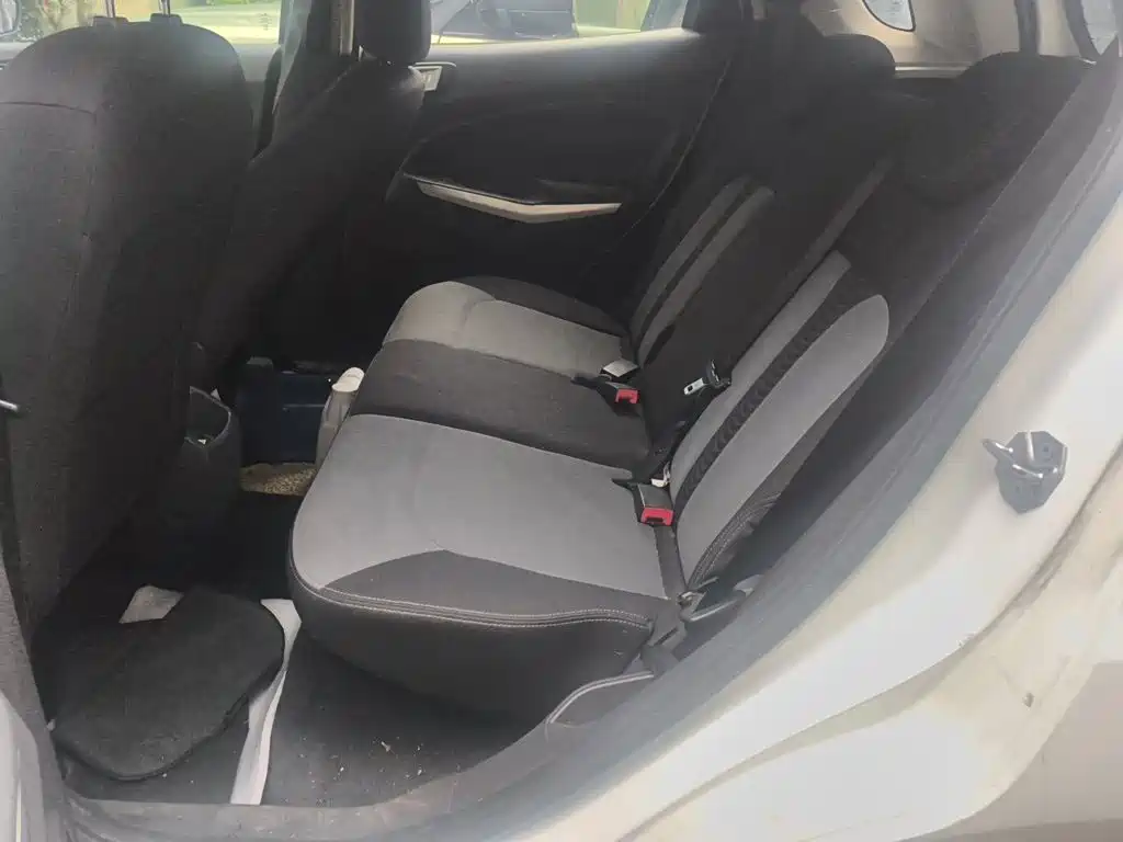 Ford Ecosport — миниатюра 15