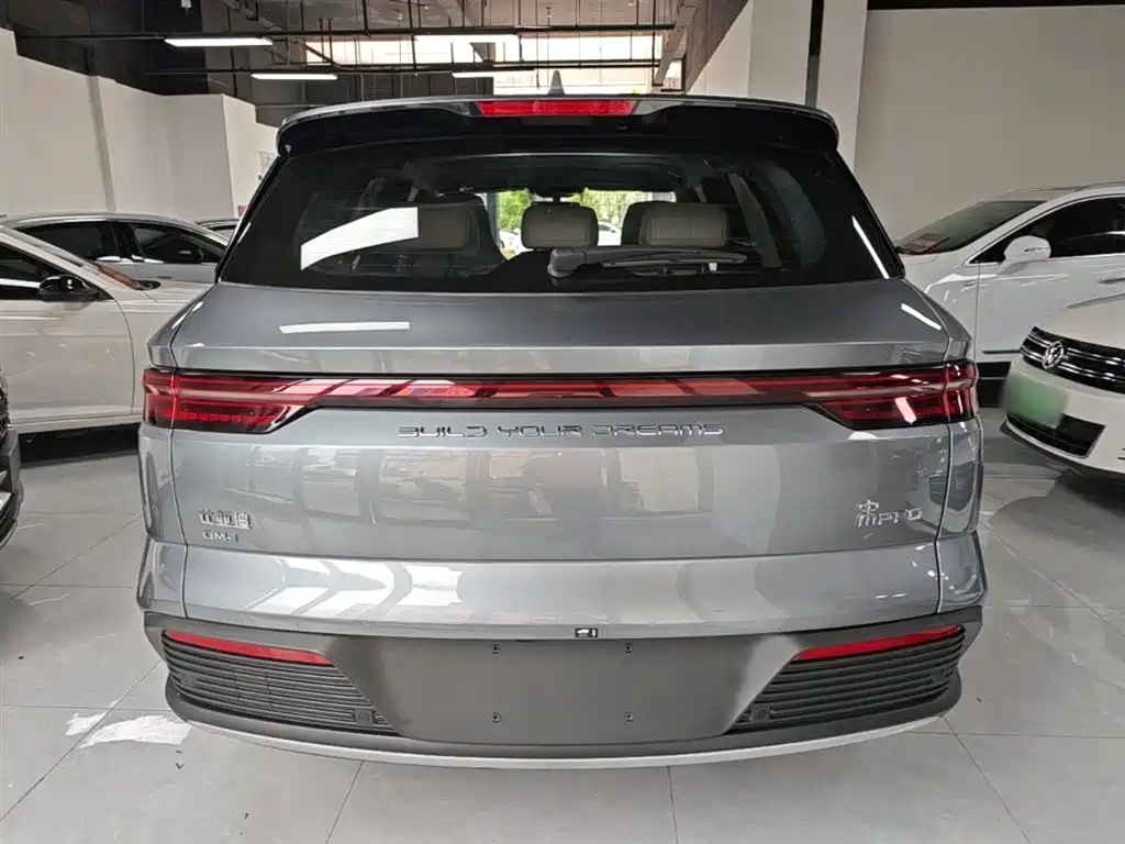 BYD Pro New Energy - фото 4