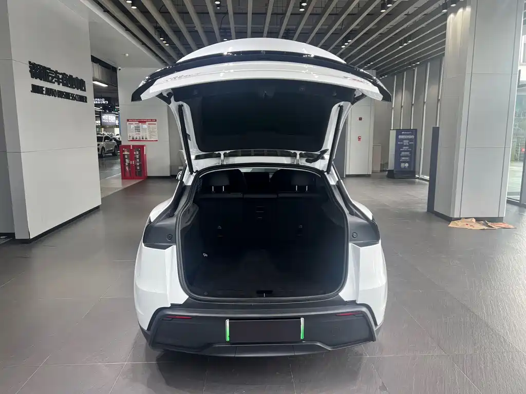 Tesla Model Y — миниатюра 10