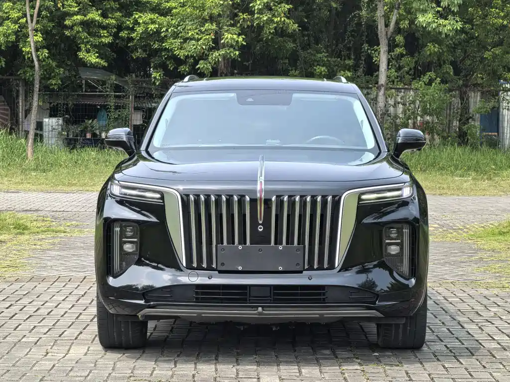Hongqi Hongqi E-HS9 — миниатюра 2