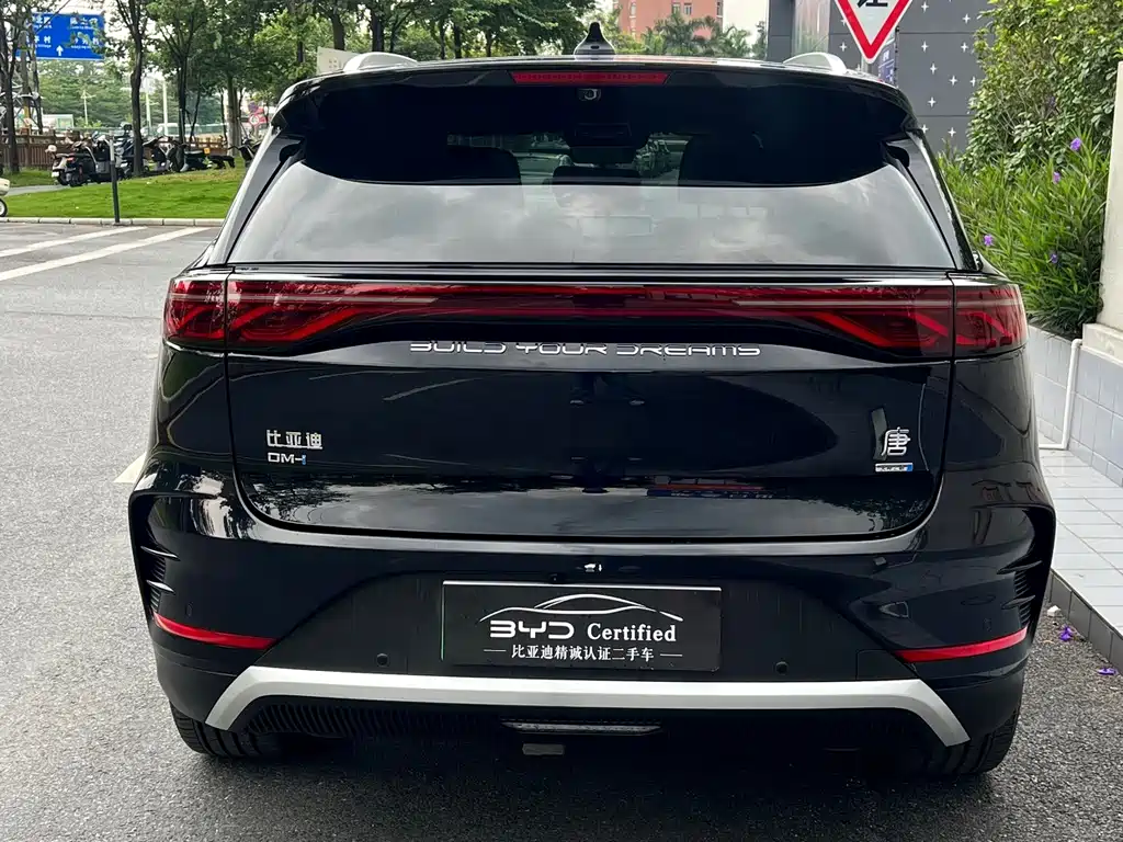 BYD Tang New Energy — миниатюра 12