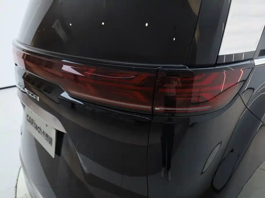 Denza Denza D9 — миниатюра 11