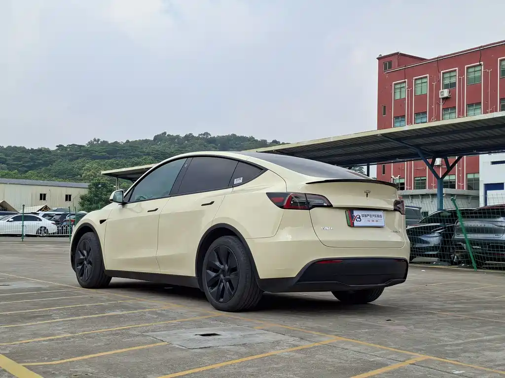 Tesla Model Y — миниатюра 2
