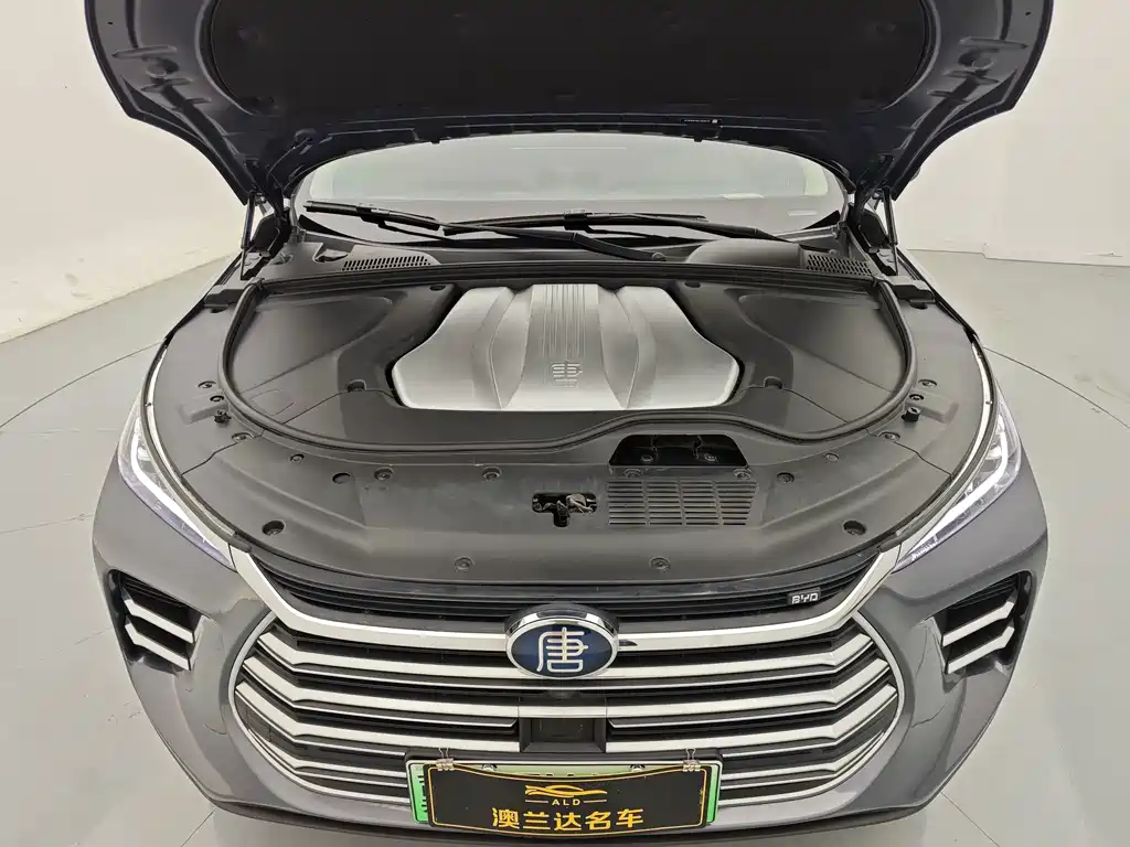 BYD Tang New Energy — миниатюра 34