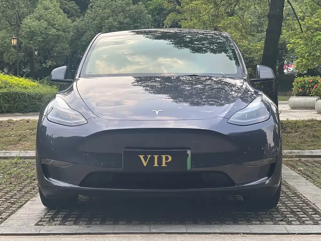 Tesla Model Y — фотографии объявления, Фото 4