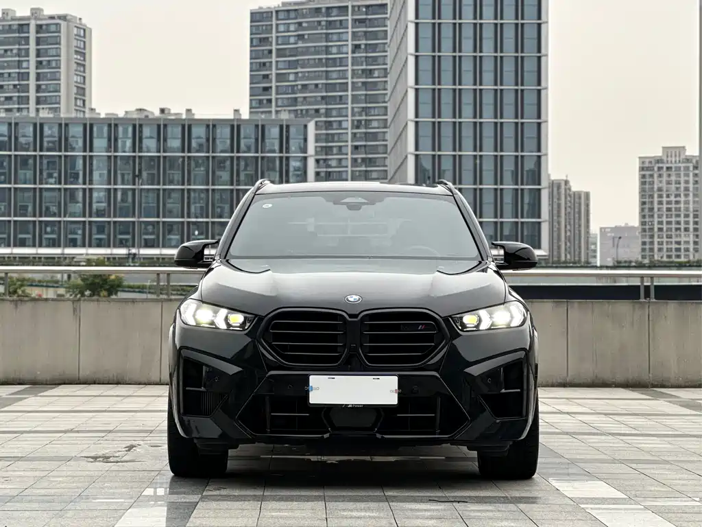 BMW X5 M — миниатюра 2