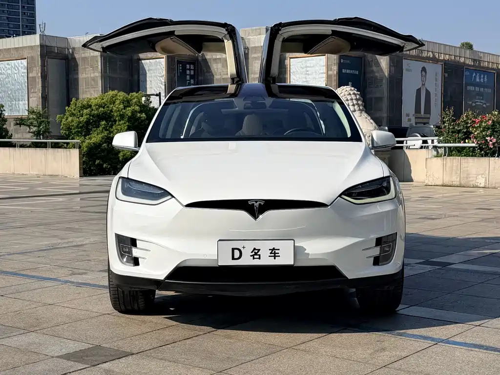 Tesla Model X 2016 Model X P100D Performance