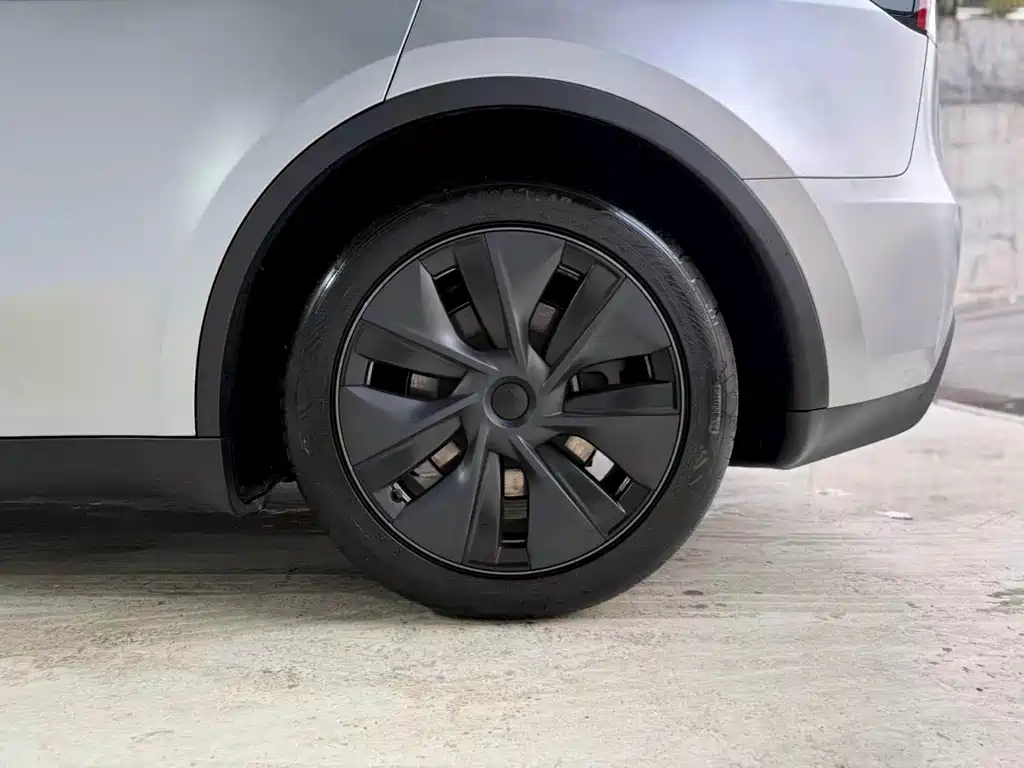 Tesla Model Y — миниатюра 16