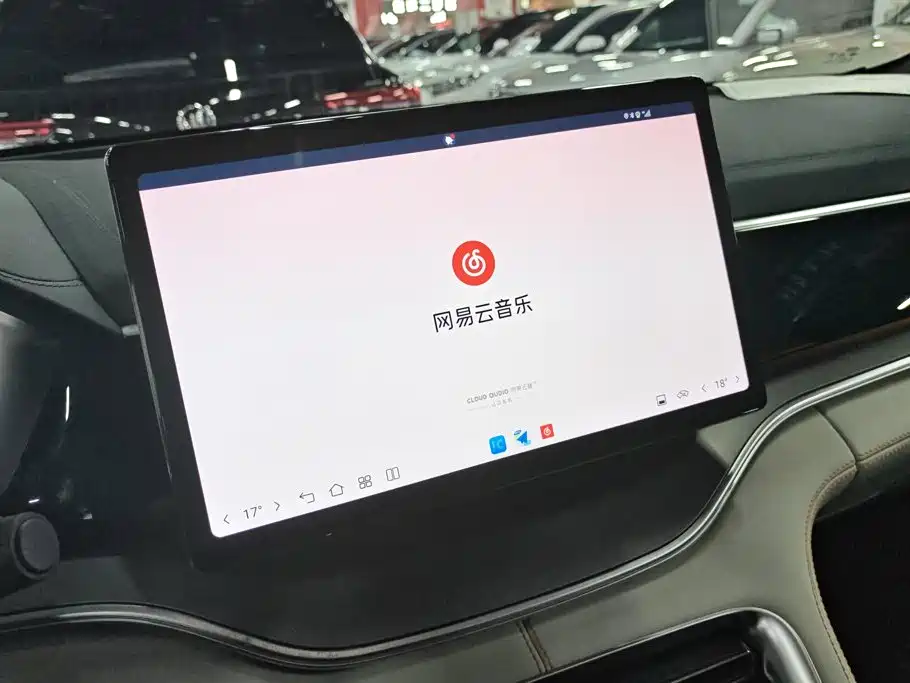 BYD PLUS New Energy — миниатюра 13