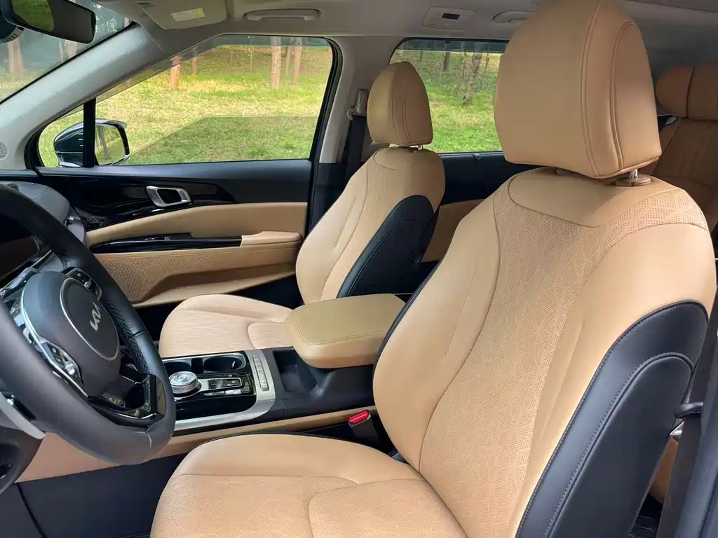 Kia Carnival — миниатюра 10