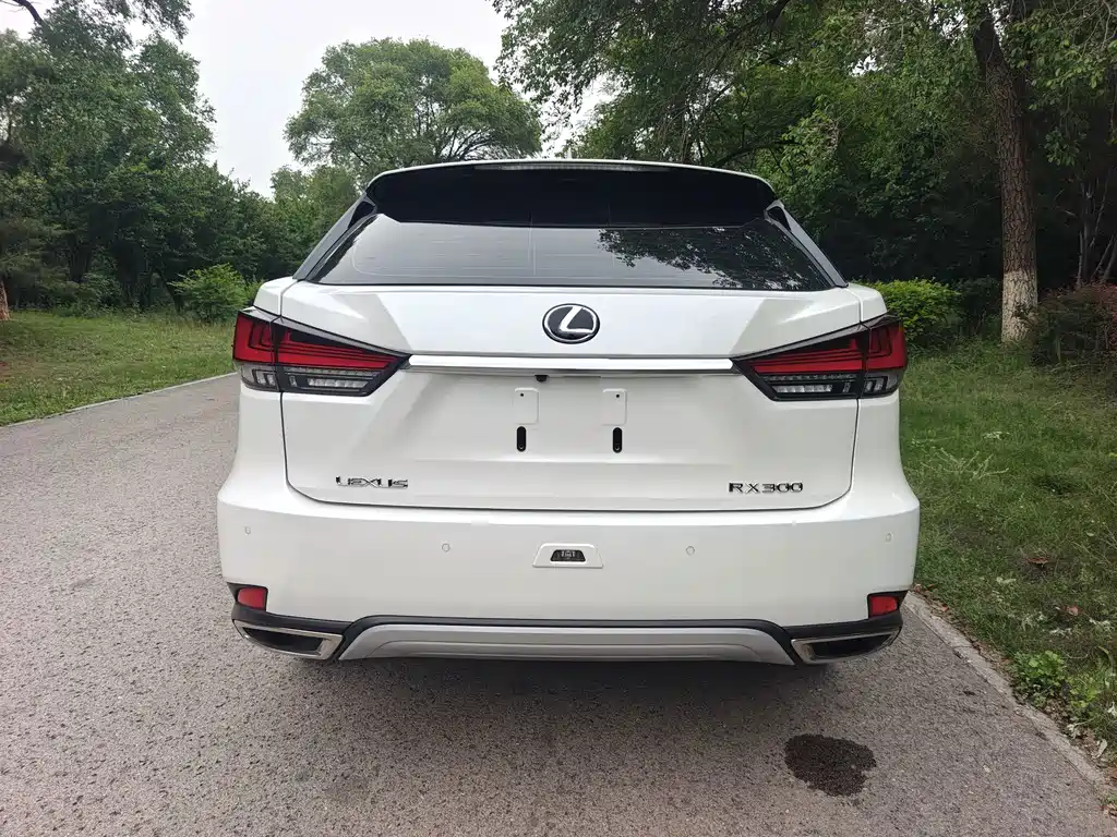 Lexus RX — миниатюра 5