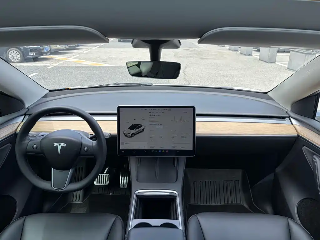 Tesla Model Y — миниатюра 3