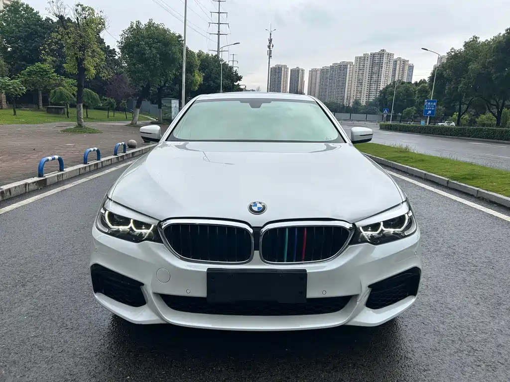 BMW 5 Series 5 2019 530Li xDrive M Sport