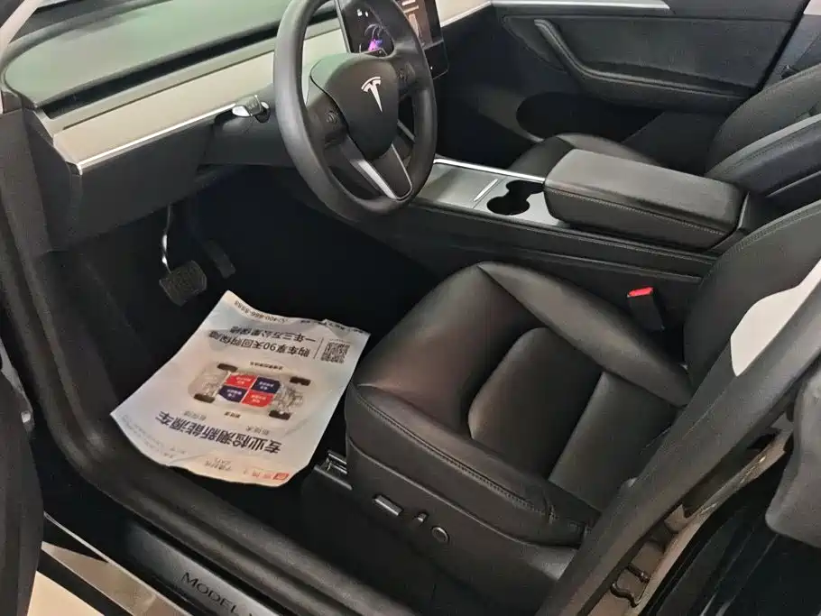 Tesla Model Y — миниатюра 9