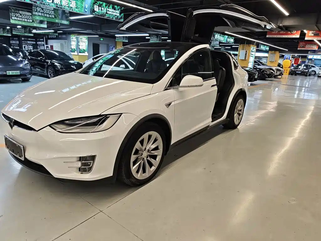 Tesla Model X — миниатюра 2