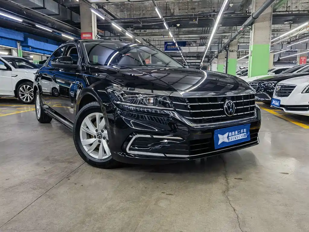 Volkswagen Passat — миниатюра 3