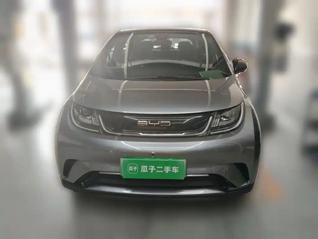 BYD Dolphin — миниатюра 23