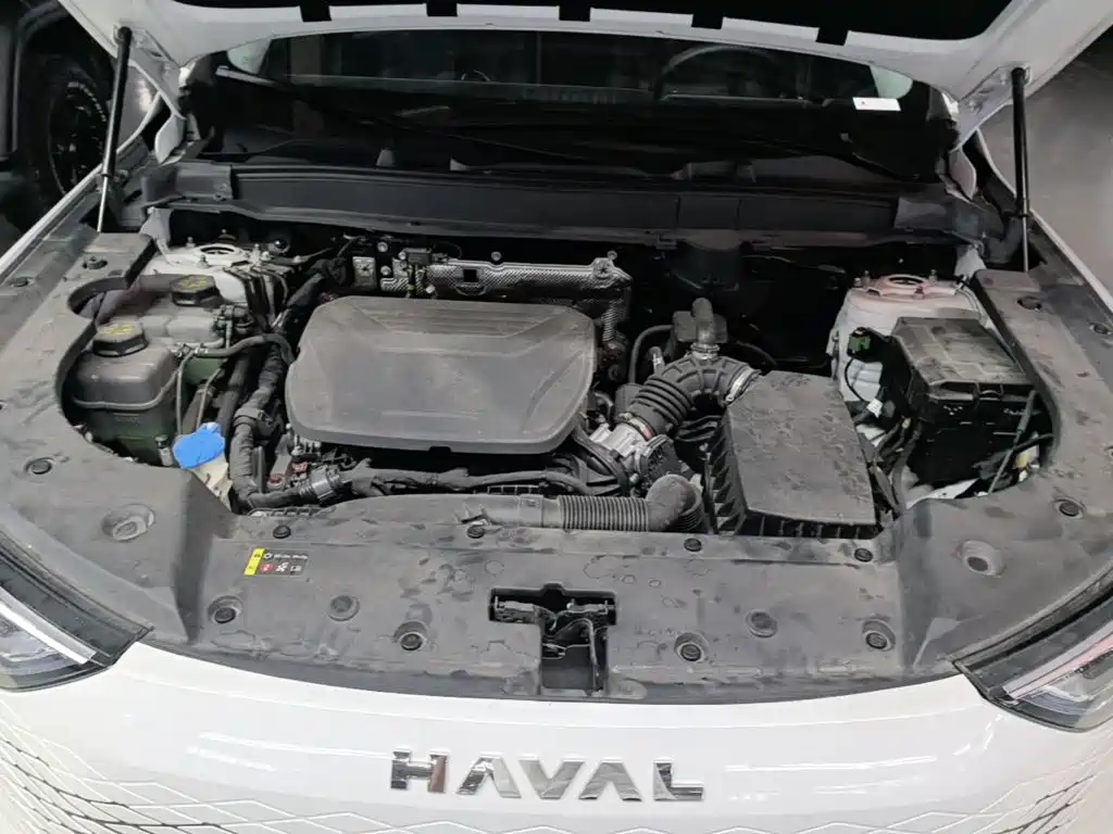 Haval Xiaolong MAX — миниатюра 20