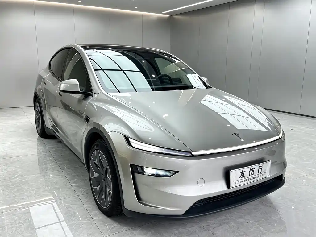 Tesla Model Y L — миниатюра 3