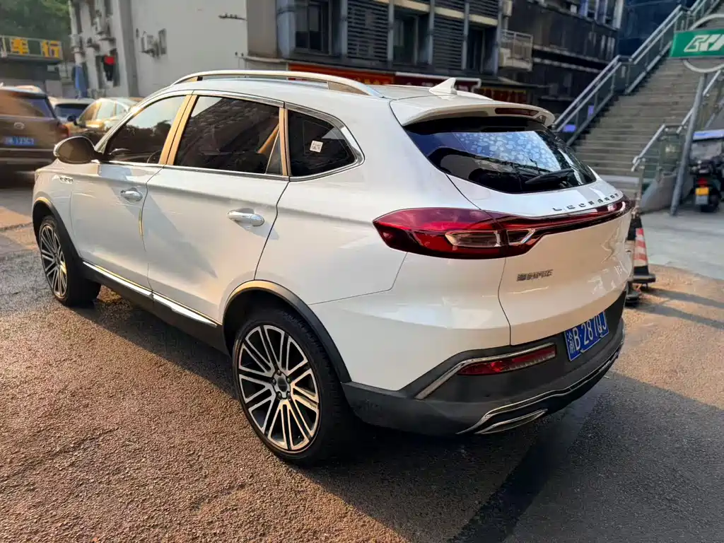 Leopaard Mattu — миниатюра 9