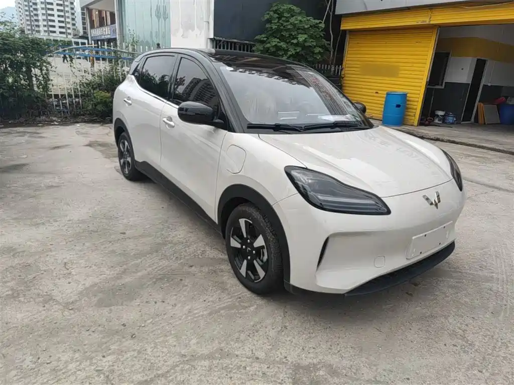 Wuling BinguoPLUS PLUS 2024 510km мест