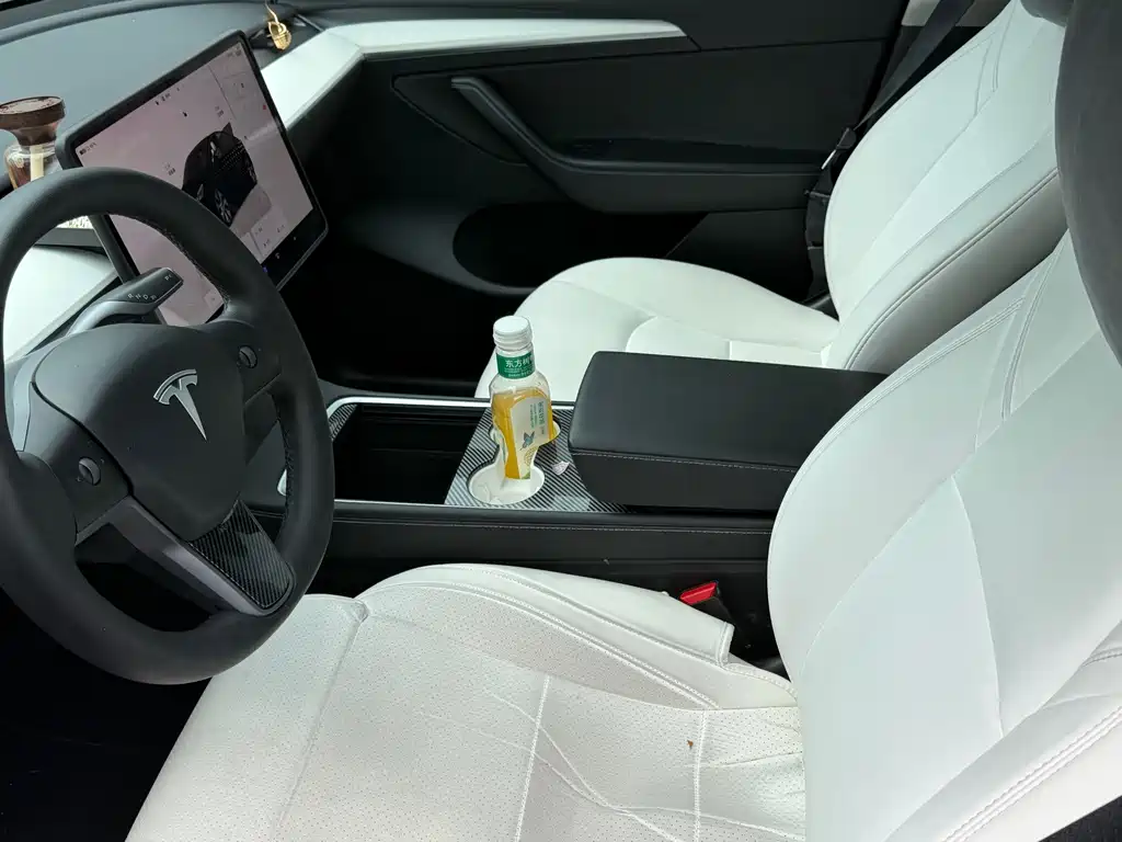 Tesla Model Y — миниатюра 6