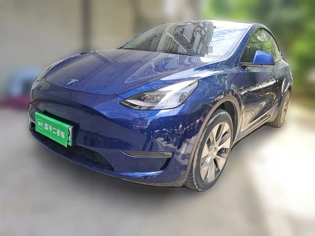 Tesla Model Y 2021