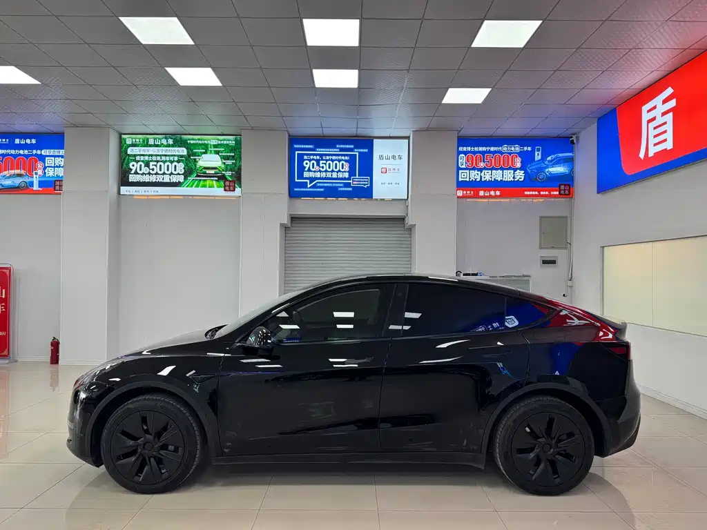 Tesla Model Y — миниатюра 3