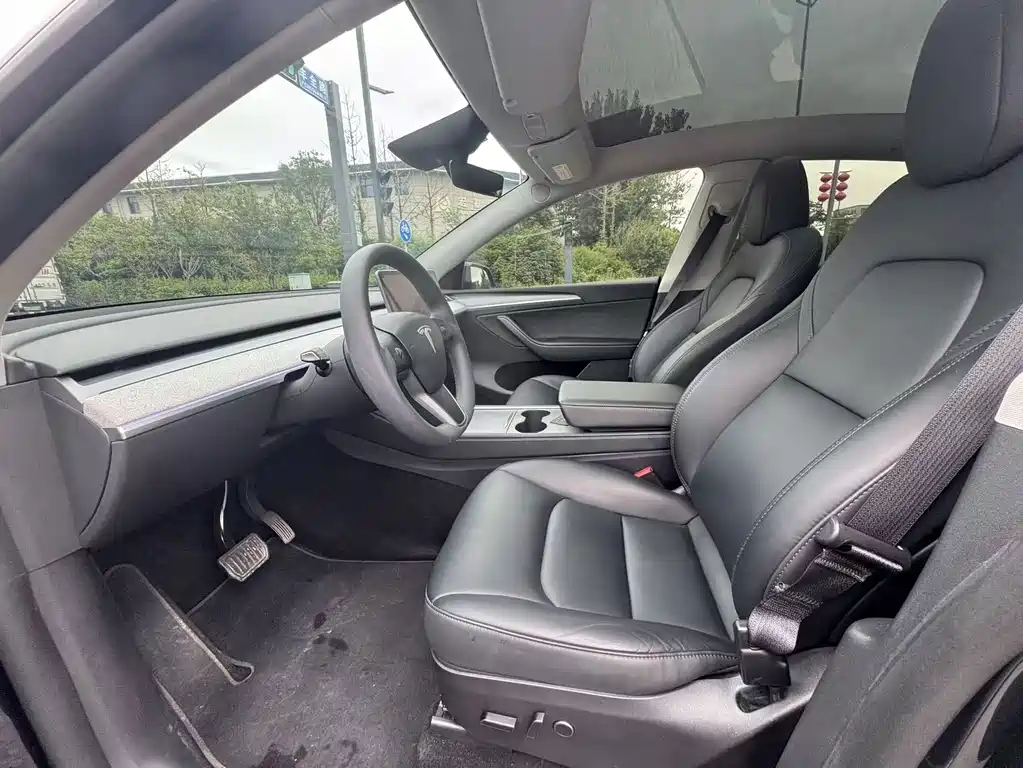 Tesla Model Y — миниатюра 3