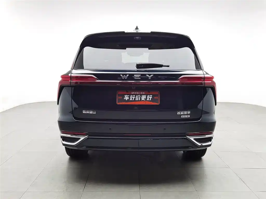 WEI PAI WEI BRAND BLUE MOUNTAIN