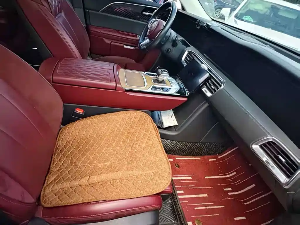 Hongqi Hongqi E-HS9 — миниатюра 4
