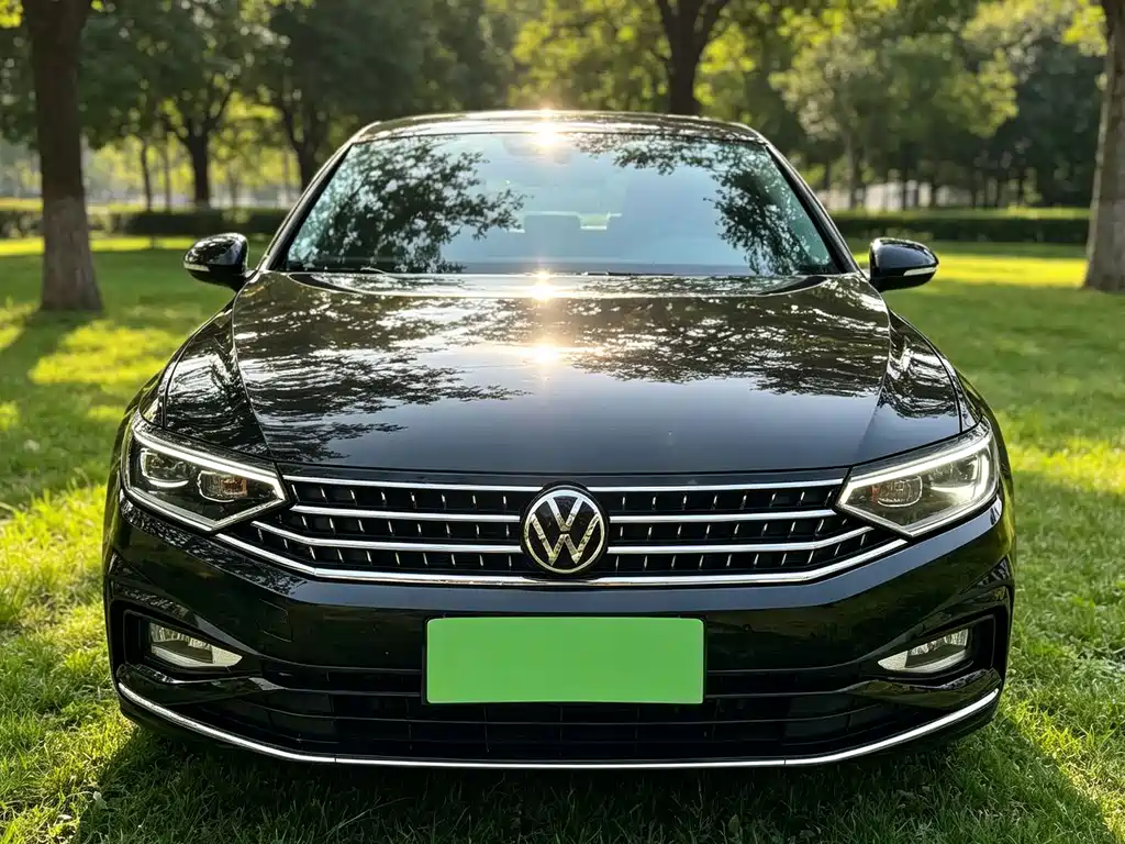 Volkswagen Magotan — миниатюра 2
