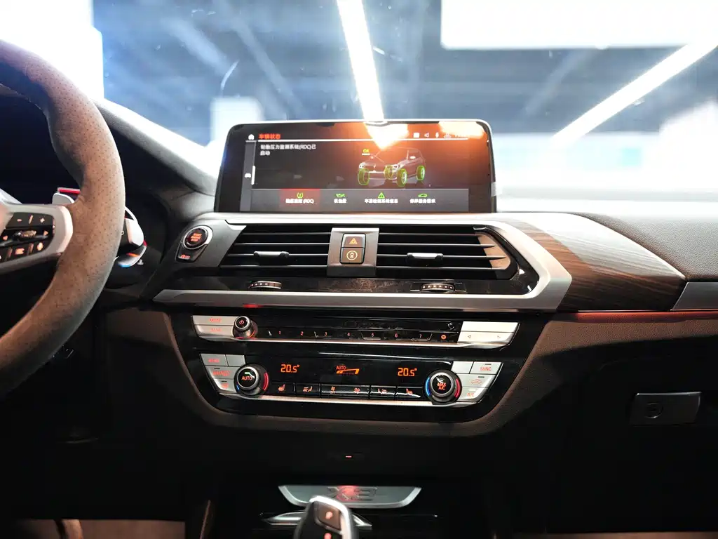 BMW X3 — миниатюра 18