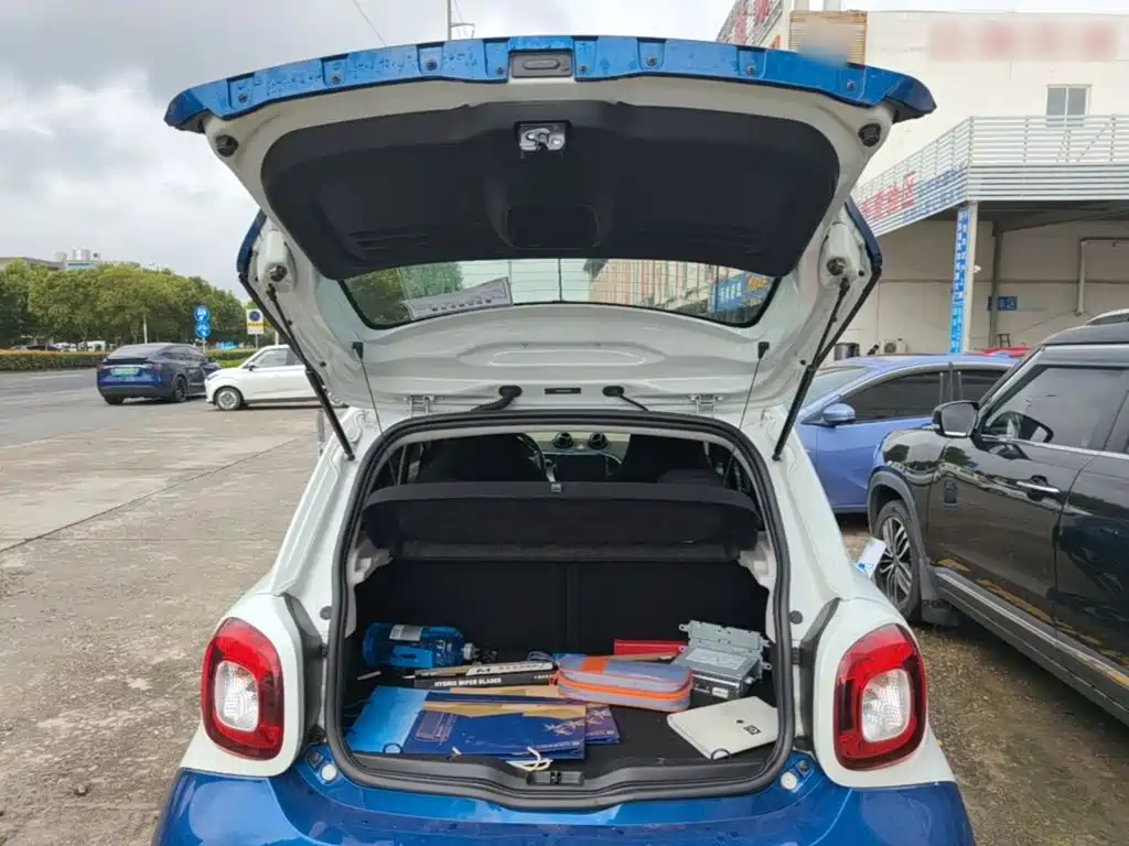 smart Smart Forfour — миниатюра 19