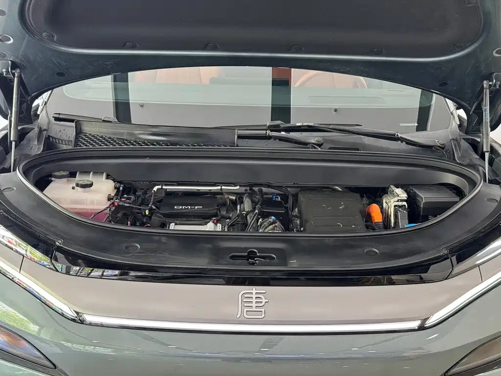 BYD Tang L — миниатюра 4
