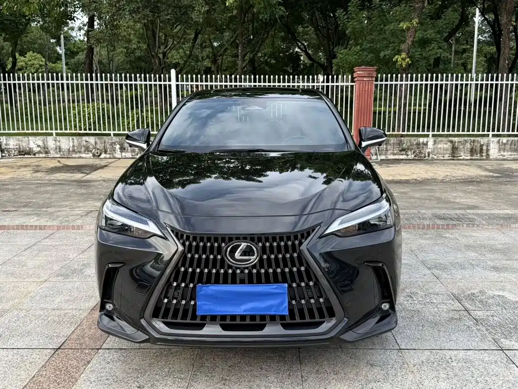 Lexus NX — миниатюра 2