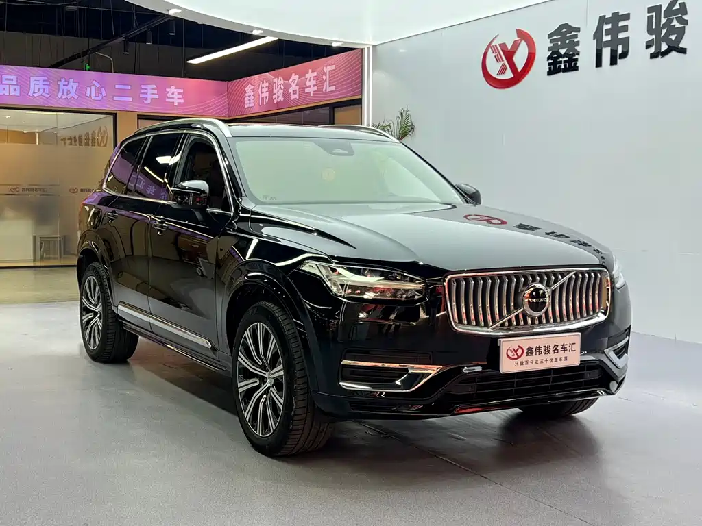 Volvo XC90 — миниатюра 4