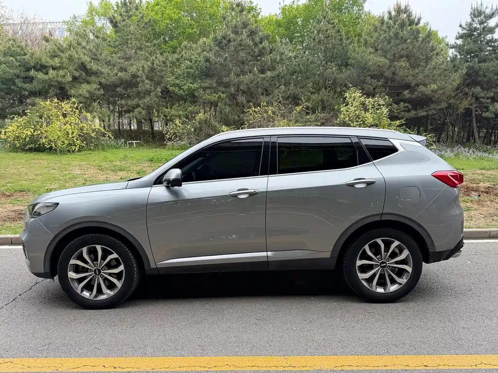 Wey Wey VV6 — миниатюра 3