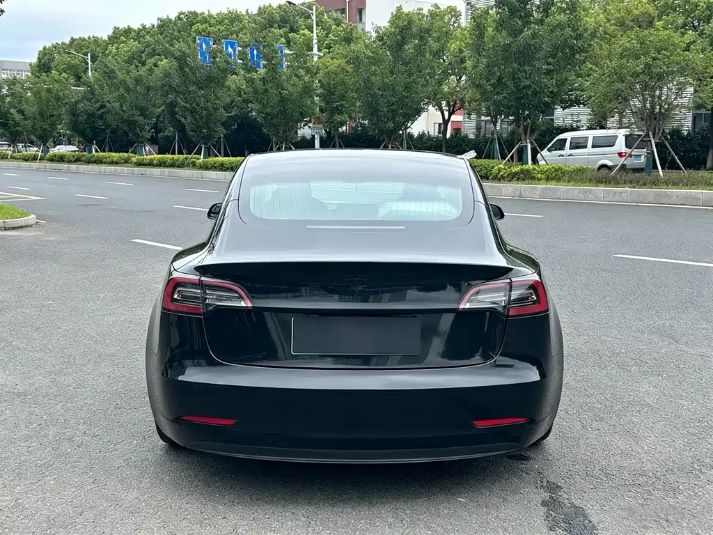 Tesla Model 3 — миниатюра 4