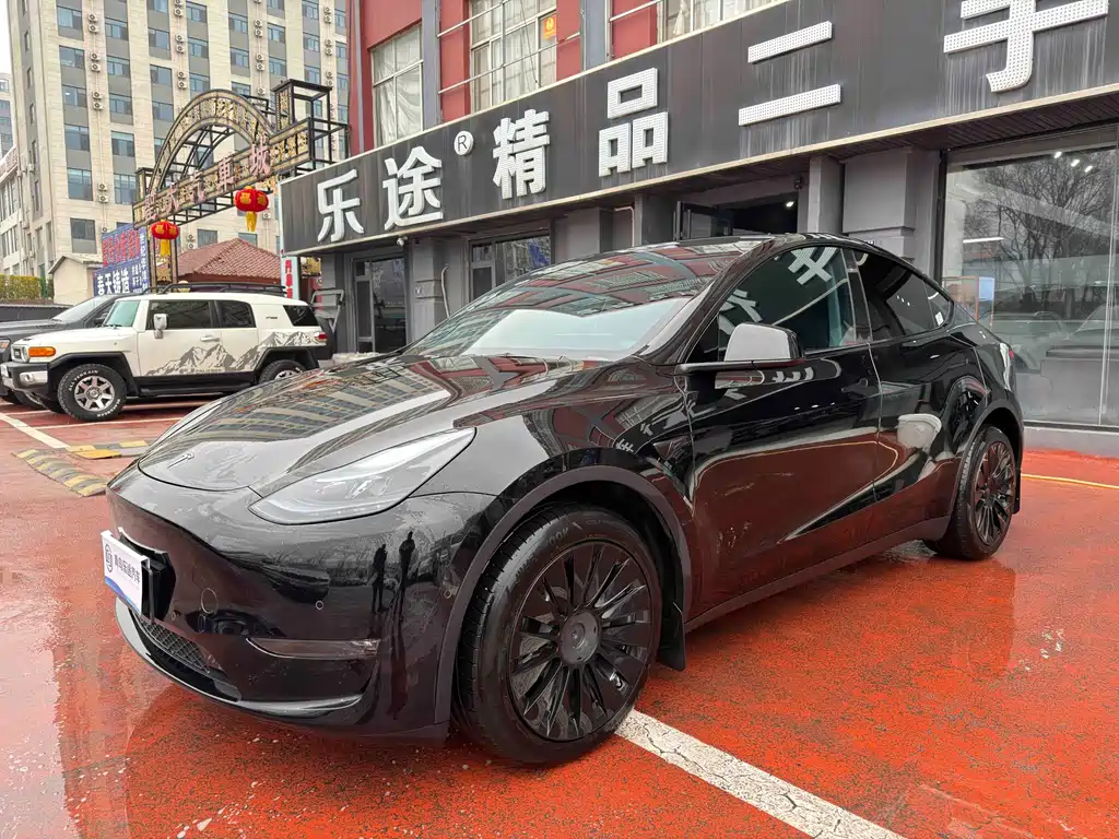 Tesla Model Y — миниатюра 2