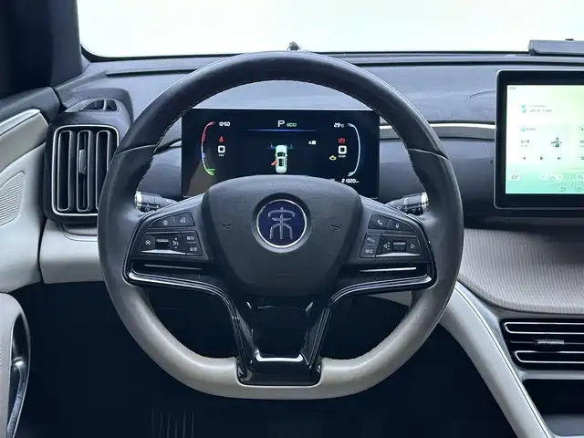 BYD Pro New Energy — миниатюра 11