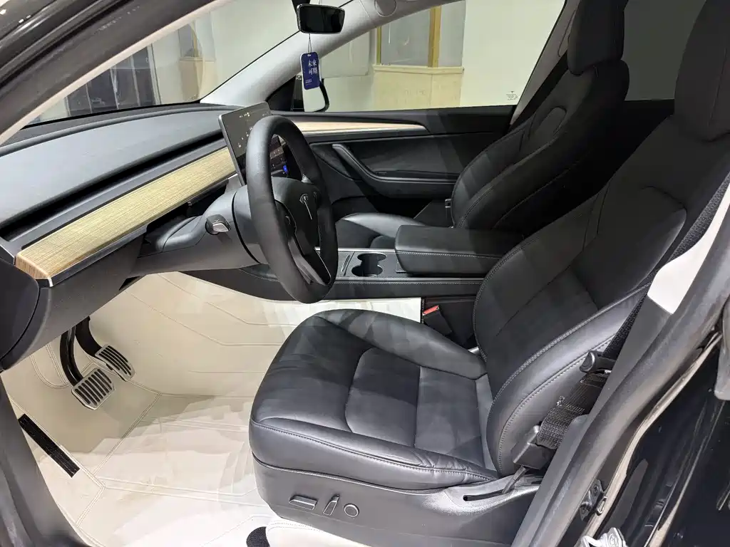 Tesla Model Y — миниатюра 5