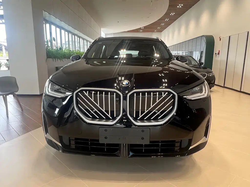 BMW X3 — миниатюра 2