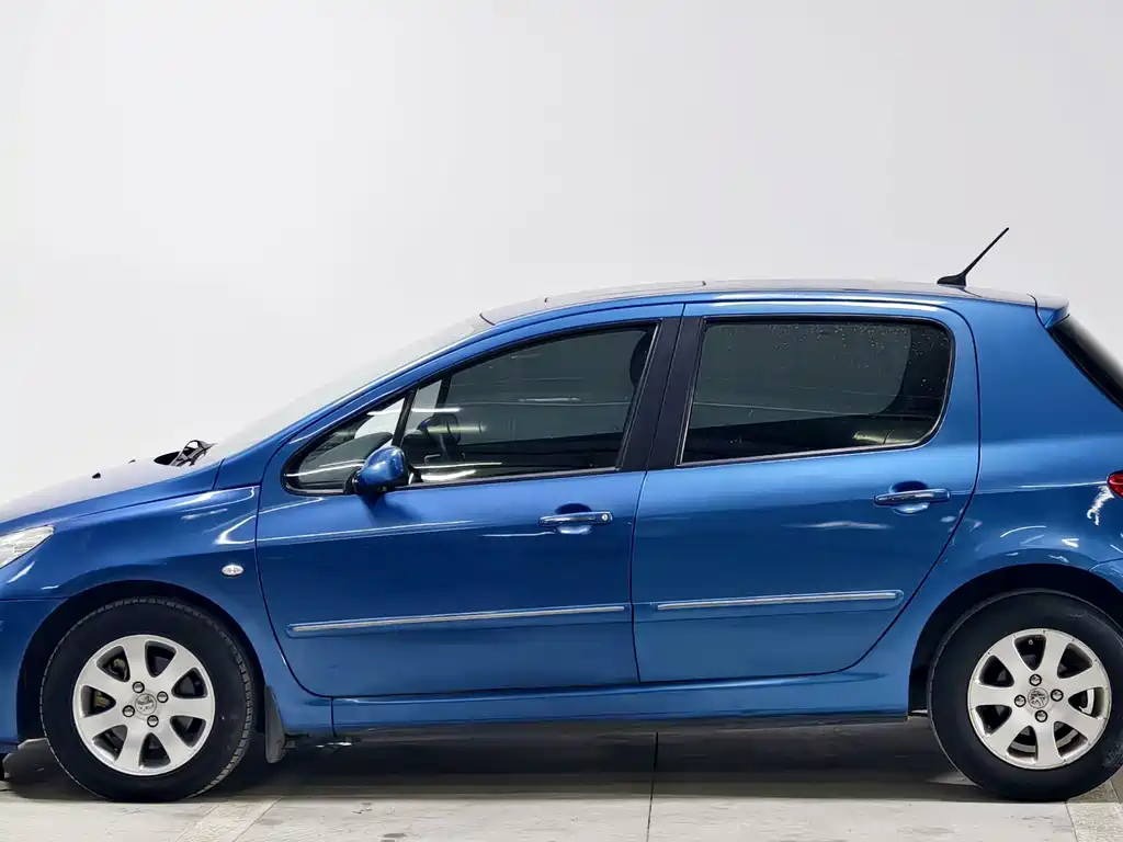 Peugeot 307 — миниатюра 7