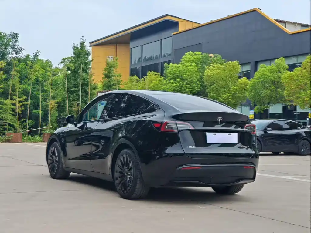 Tesla Model Y — миниатюра 8