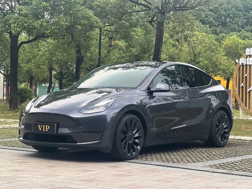 Tesla Model Y — фотографии объявления, Фото 2
